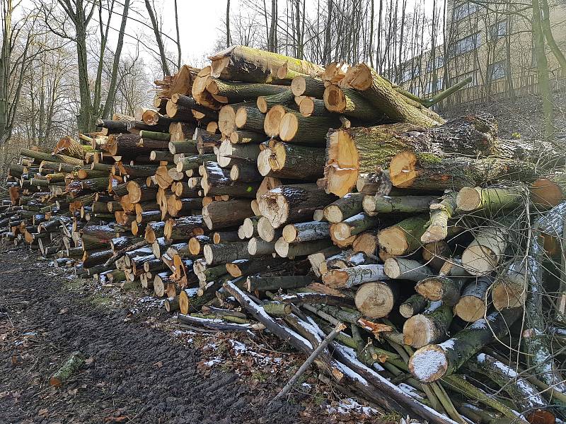 Sokolovský park pod kopcem Hard