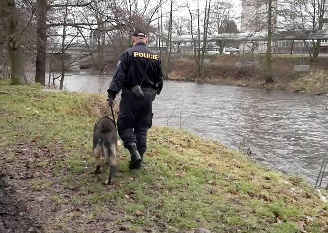 Policejní pátrání v Sokolově.