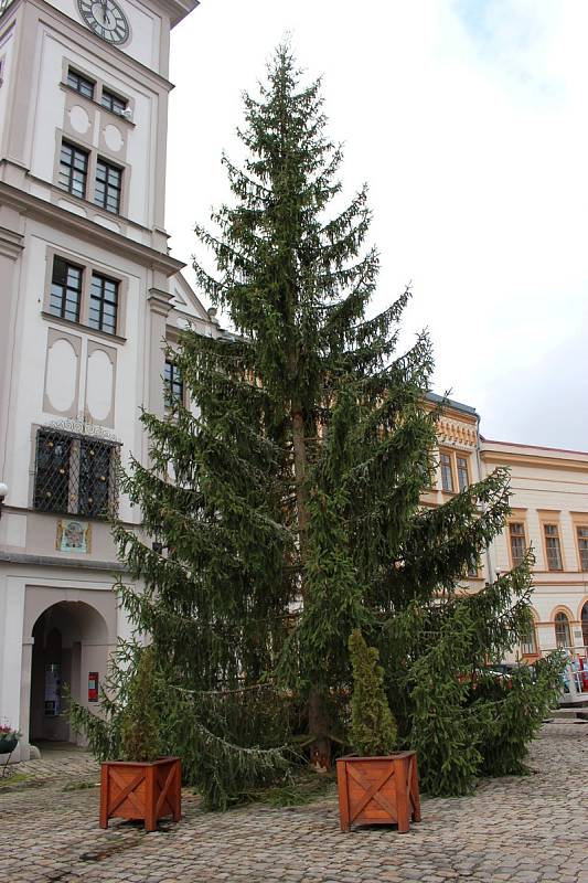 Nový vánoční strom, který stojí v Lokti od úterý, už pracovníci zdobí.