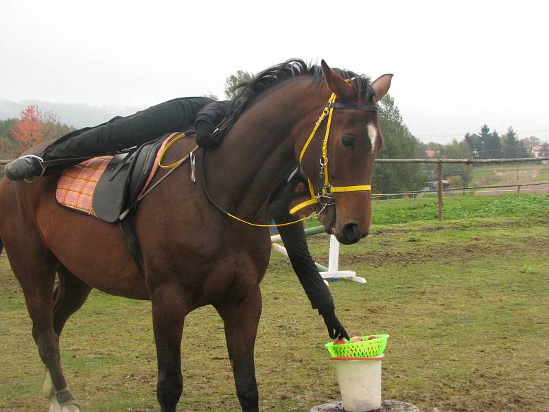 Westernové hobby závody v Krajkové