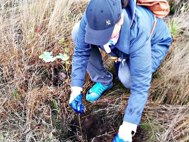 Do sázení stromků  se zapojila i věznice.