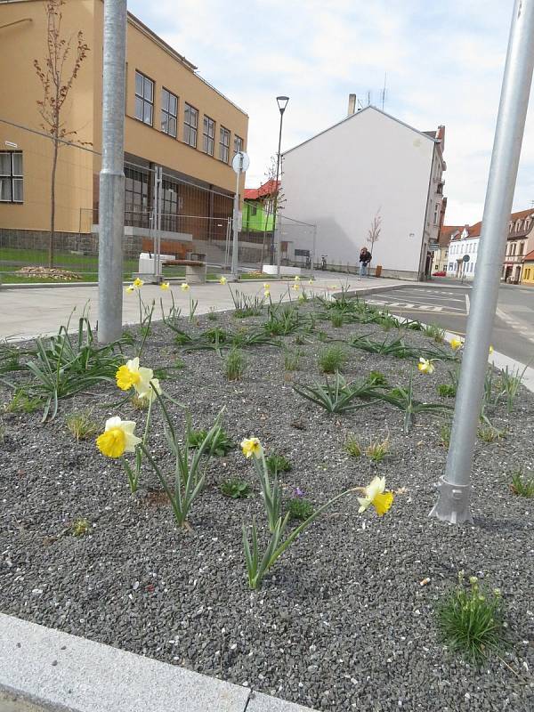 Cílem projektu revitalizace předprostoru Základní školy E. Beneše a gymnázia v Soběslavi je zvýšit bezpečnost dopravy, rekonstrukce veřejného osvětlení, odvodnění ploch a realizace sadových úprav.