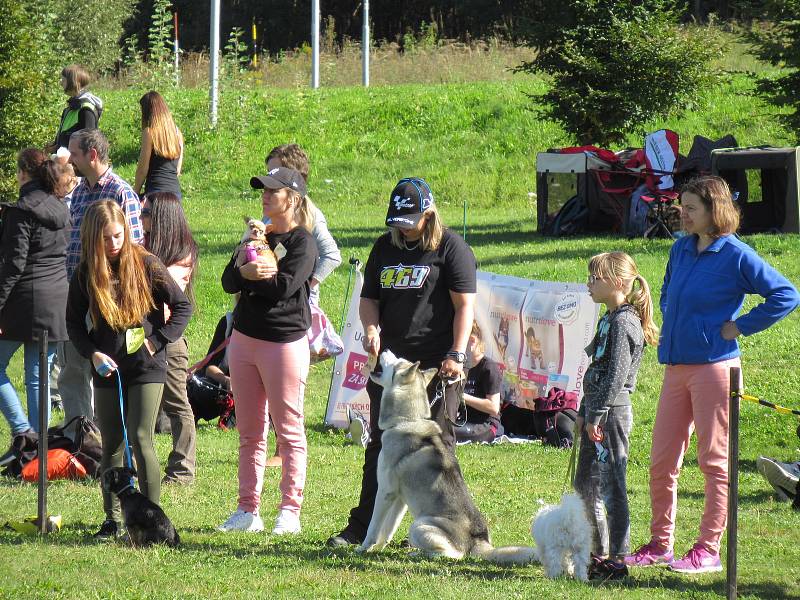 V sobotu 21. září se konal již 9. ročník Psího dne aneb Táborské voříškiády.