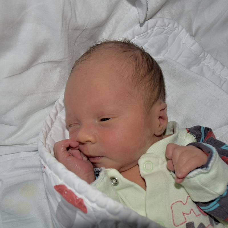 Adam Fořt z Nového Kostelce. Přišel na svět jako prvorozený syn rodičů Evy a Karla 15. února 2019 v 7.21 hodin. Vážil 2850 gramů  a měřil 48 cm.