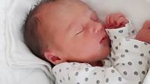 Veronika Majerová z Nové vsi u Chýnova. Narodila se 12. dubna 2019 ve 2.52 hodin. Vážila 2310 gramů, měřila 44 cm a je prvním dítětem rodičů Denisy a Ondřeje.