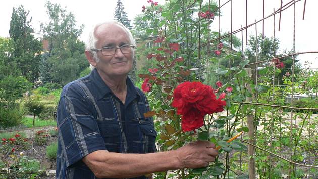 Na snímku botanik RNDr. Jiří Žlebčík, odborník na šlechtění růží z průhonického výzkumného ústavu na výstavě v Táboře v roce 2021.