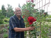Na snímku botanik RNDr. Jiří Žlebčík, odborník na šlechtění růží z průhonického výzkumného ústavu na výstavě v Táboře v roce 2021.