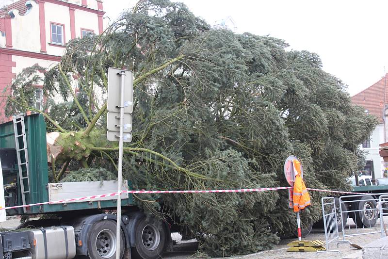 Vánoční strom na Žižkově náměstí v Táboře se nepodařilo v pondělí ukotvit, musel tak přečkat dvě následující noci na tahači. Pracovníci města mezitím rozšířili skruž, do níž ho ukotví.