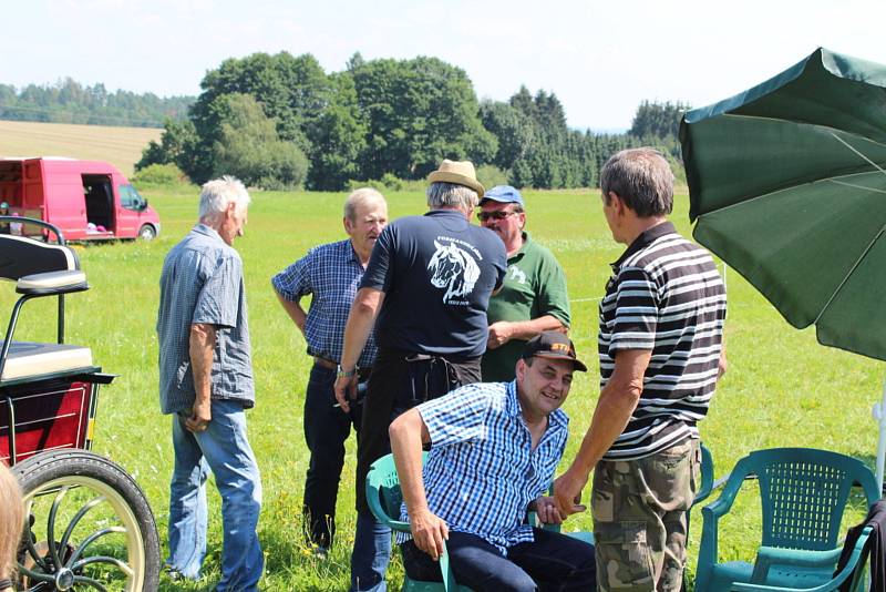 Ve Vescích u Soběslavi se konal 8. srpna 2020 již 17. ročník Formanské jízdy.