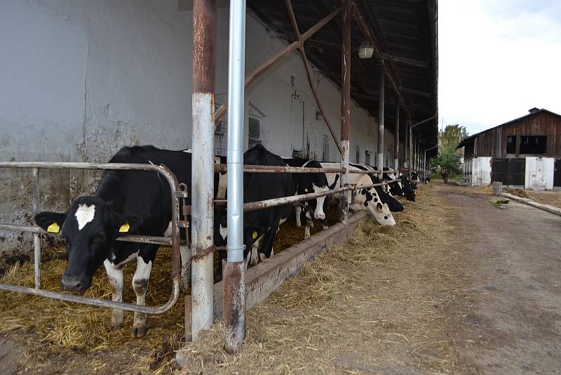 V sobotu navštívily Školní statek Měšice při příležitosti Dne zemědělců stovky lidí.