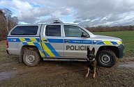 Policejní pes Rapp našel vloni na Bechyňsku podchlazeného muže. Nyní dostal cenu v anketě Statečné psí srdce 2023.