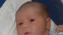 Adam Loskota z Tábora. Prvorozený syn rodičů Petry a Martina poprvé na svět pohlédl 1. ledna  v 0.05 hodin. Jeho váha byla 3580 gramů  a míra 51 cm. 