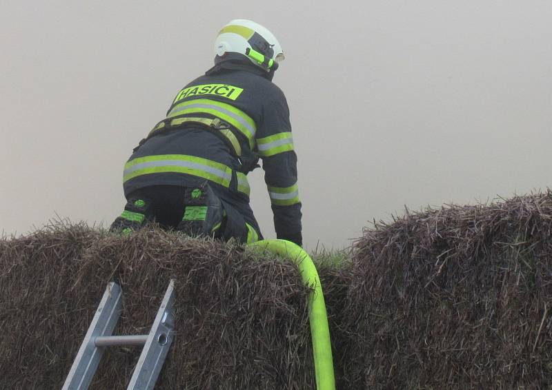 Druhý stupeň požárního poplachu byl vyhlášen v pátek odpoledne při požáru v Choustníku. Na místě zasahovali profesionálové ze Soběslavi a Tábora a dobrovolní hasiči z Plané nad Lužnicí, Choustníku, Tučap, Chýnova a Deštné.