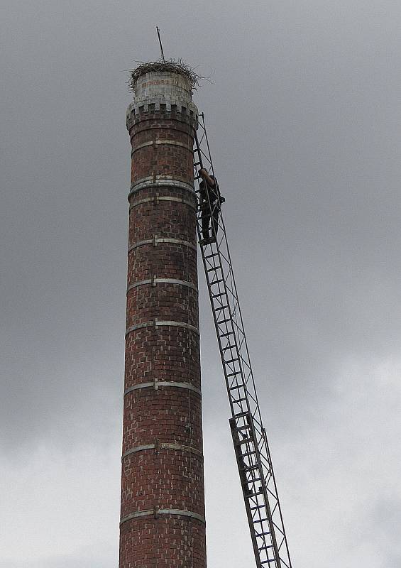 Kroužkování čápů v jižních Čechách, Hluboká nad Vltavou, Chýnov, Planá nad Lužnicí, Budislav a Soběslav.