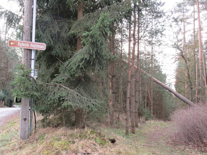 Stromy z neděle na pondělí padaly v Bojbukách, Turovci, Nadějkově, Dráchově, Veselí nad Lužnicí, Opařanech a u Košic. Na poli u Dlouhé Lhoty leží dokonce převrácená kazatelna.