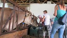 První exkurze v rámci projektu Poznej svého farmáře se uskutečnila v sobotu 8. srpna na farmě Liška nedaleko Tábora.