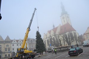 Vánoční strom věnovala letos Táboru rodina Šilhaveckých z Čelkovic.