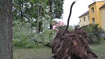 Ve Veselí nad Lužnicí noční vichřice vyvracela stromy a odnesla i půlku střechy supermarketu Tesco.