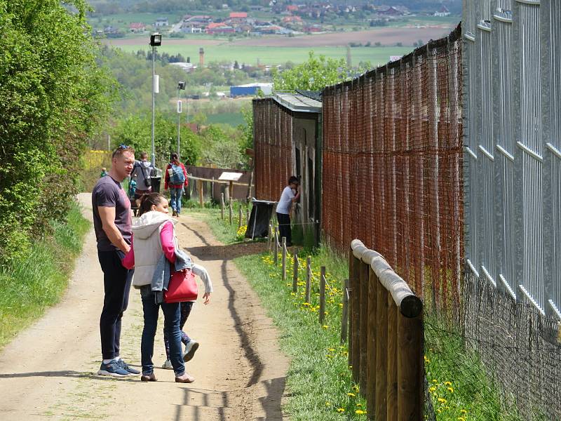 Táborská zoologická zahrada po nucené koronavirové pauze zažívá boom návštěvníků.