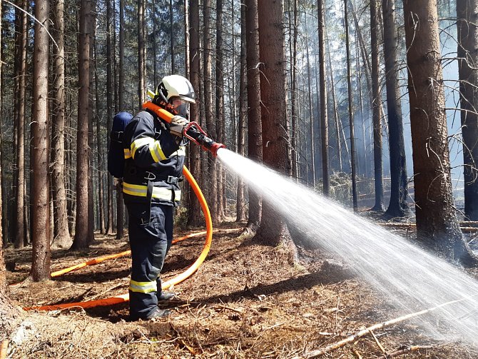 Požár lesa byl na tísňovou linku na operační středisko hasičů ohlášen ve čtvrtek 7. května ve 13:13 hodin.