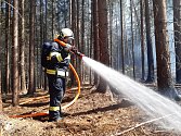 Požár lesa byl na tísňovou linku na operační středisko hasičů ohlášen ve čtvrtek 7. května ve 13:13 hodin.