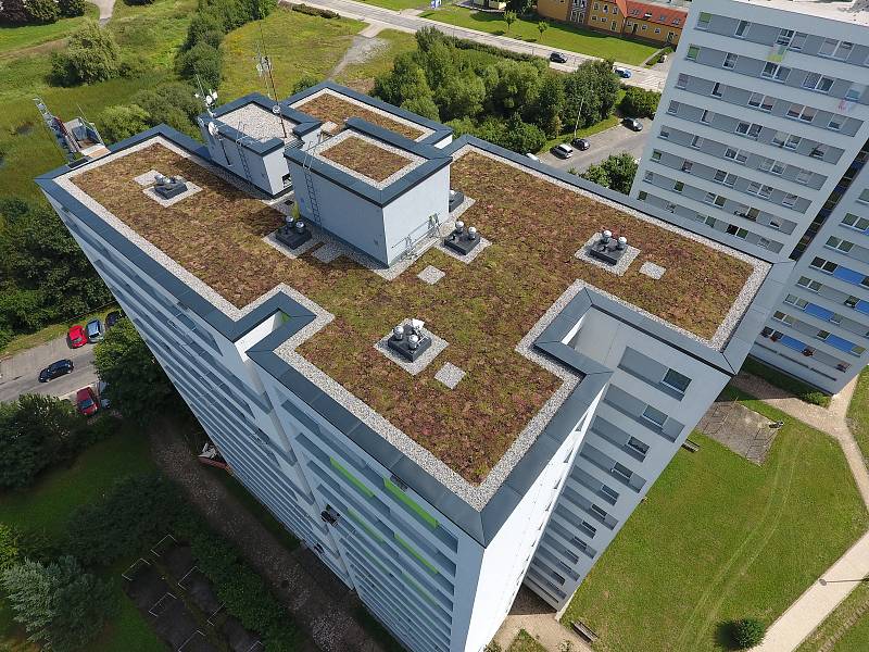 Na pilotní projekt zelené střechy v Táboře mají navazovat v budoucnu další. Rozchodníky na třináctipatrovém domě v Berlínské ulici zajistí termoregulační vlastnosti i prodloužení životnosti.