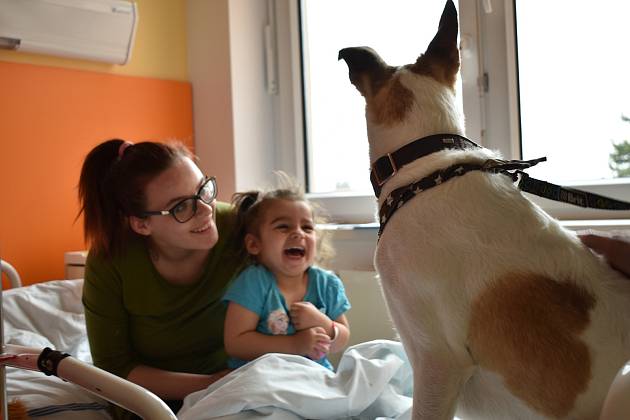 Mezi dětské pacienty přišel filmový pes Gump. Bolek Polívka předal oddělení velkého plyšového Gumpa.