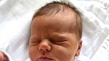 Jakub Hanuš z Tábora. Narodil se 2. října ve 21.40 hodin rodičům Lucii a Jakubovi jako jejich první dítě.  Jeho váha byla 3220 gramů  a míra 49 cm. 