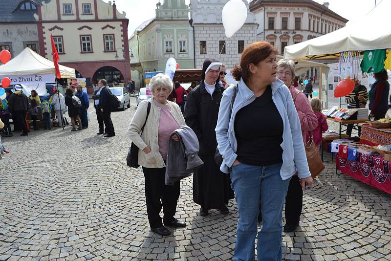 Celodiecézní pouť v sobotu vyvrcholila mariánským průvodem ze Žižkova náměstí starou poutní cestou na Klokoty.