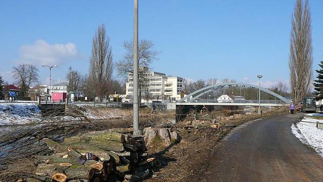 Torza stromů dávají tušit, že práce na stavbě protipovodňové ochrany ve Veselí nad Lužnicí už začaly.  U některých ale panují obavy nad významem díla. 