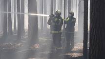 K požáru lesního porostu mezi obcemi Myslkovice a Brandlím na Táborsku byl povolán i policejní vrtulník.