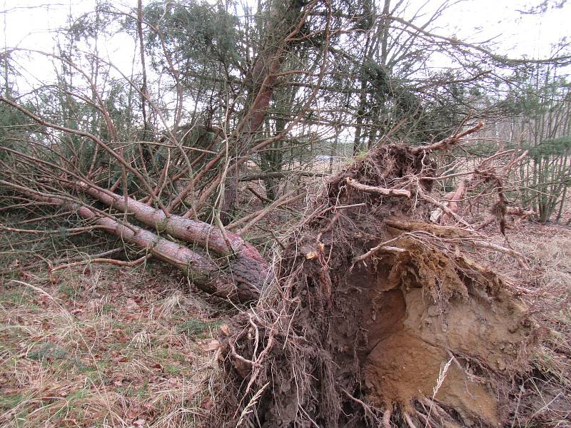 Stromy z neděle na pondělí padaly v Bojbukách, Turovci, Nadějkově, Dráchově, Veselí nad Lužnicí, Opařanech a u Košic. Na poli u Dlouhé Lhoty leží dokonce převrácená kazatelna.