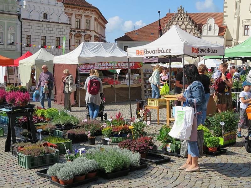 Trhy 25. srpna v Táboře.