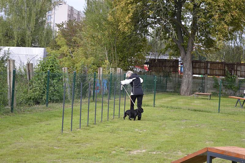 Ve středu 19. září došlo k slavnostnímu otevření vůbec prvního psího parku v Táboře.