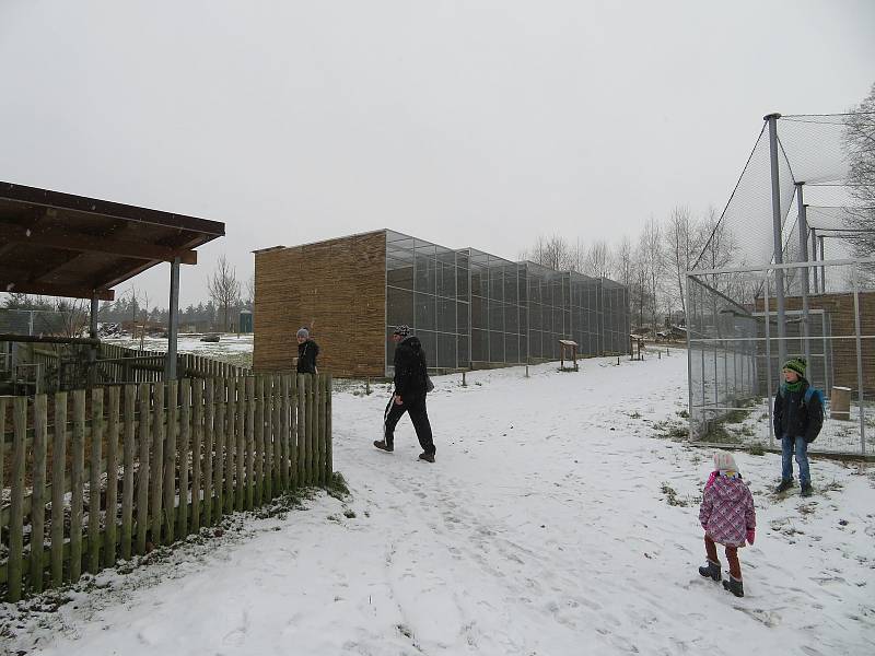 V táborské zoologické zahradě to žije i v zimním období. Návštěvníci sem mohou dorazit o víkendem a svátcích do konce března od 9 do 16 hodin. Otevřeno bude i o pololetních a jarních prázdninách.