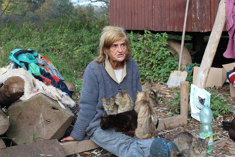 Jana Kaprálová bydlí na kraji Chýnova v rozpadlé maringotce s desítkami koček. Mají propadnout státu.