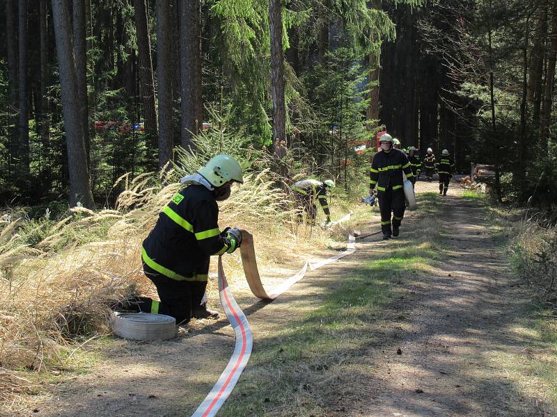 Lesní porost hořel ve středu 8. dubna mezi obcemi Myslkovice a Brandlín na Táborsku.