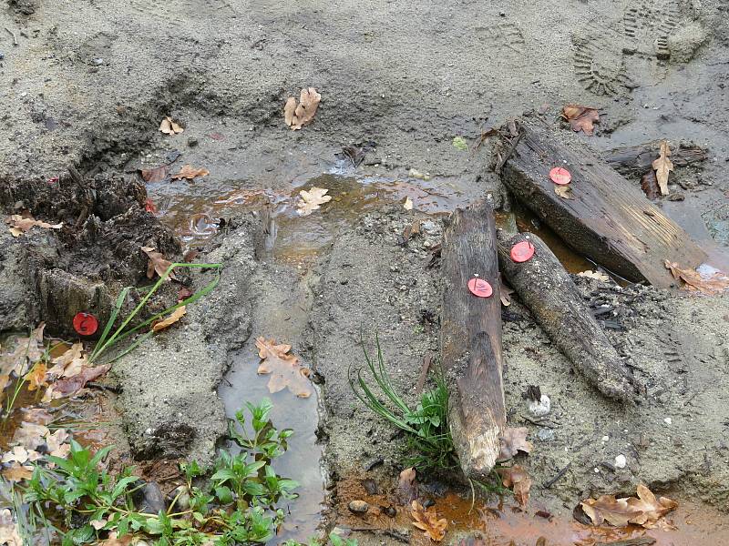 Tým archeologů Husitského muzea v Táboře na dně Farského rybníka v Plané nad Lužnicí pracuje již od srpna.