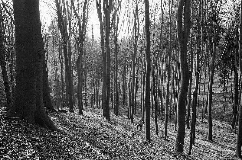 Příroda fotografa a filmaře Prokopa Pitharta ztělesňuje hlavně svobodu. Jejímu fotografování se věnuje už od dětství.