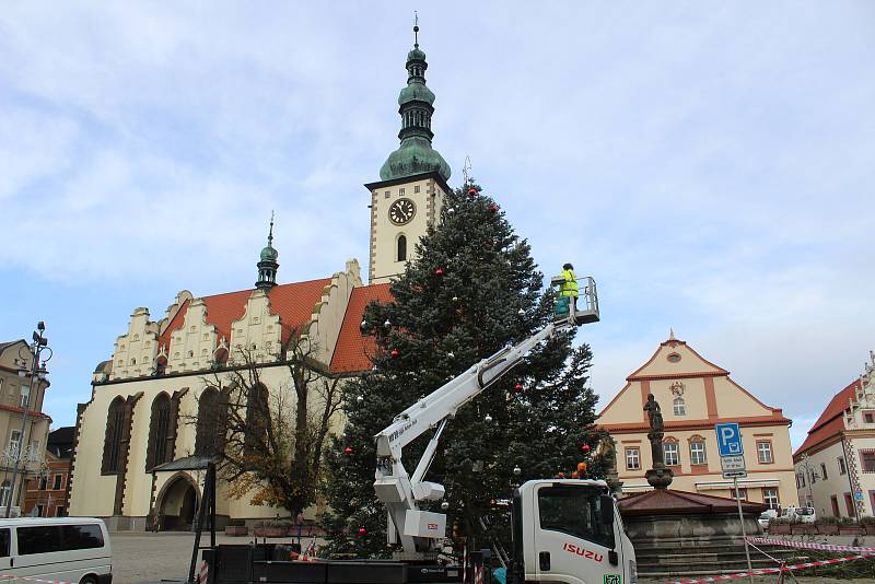 Táborská jedle bělokorá se konečně dočkala vánoční výzdoby.