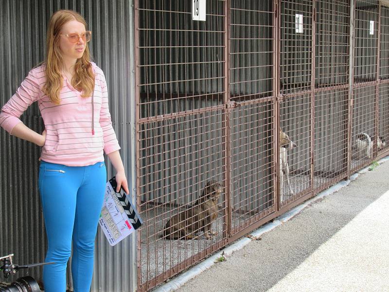 Příběh inspirovaný stejnojmenným knižním bestsellerem autora Filipa Rožka se z kulis bezdomovecké osady na pražském Bohdalci přesunul do táborského útulku.