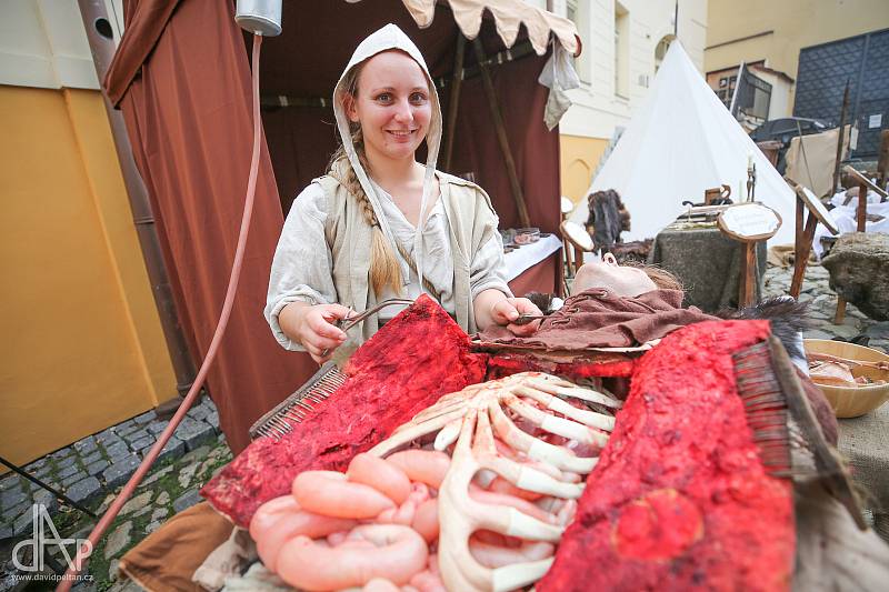 Také sobotní program třicátého ročníku historického mezinárodního multižánrového festivalu Táborská setkání nabídl spoustu zábavy.