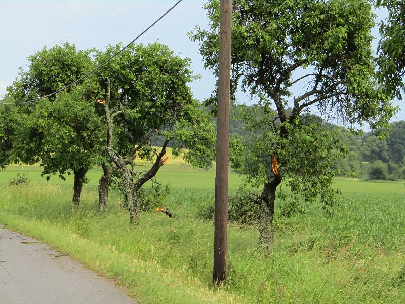Bouřka 16. června odpoledne se prohnala i okolí Želče a Skalice na Táborsku, zanechala za sebou kroupy i zničené stromy u silnic.