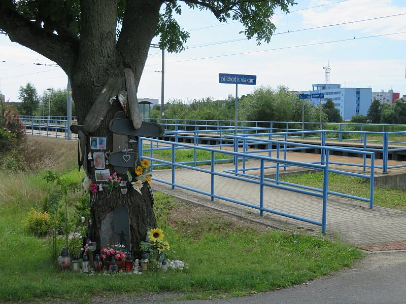 Na nástupišti strážníci muže nenalezli, proto propátrávali okolí a našli jej až na druhém konci nástupiště, v kolejišti.