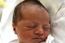 Rozálie Dvorská z Tábora. Narodila se 22. října v 18.11 hodin s váhou 2970 gramů a mírou 48 cm. Je prvním dítětem rodičů Pavly a Ladislava. 