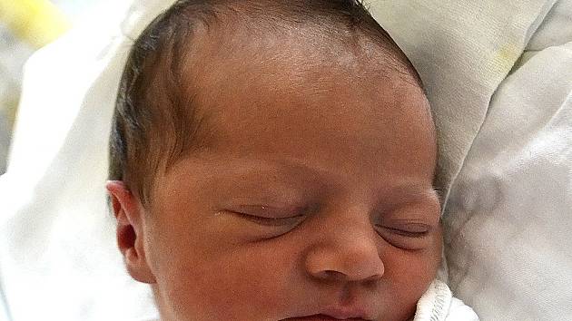 Rozálie Dvorská z Tábora. Narodila se 22. října v 18.11 hodin s váhou 2970 gramů a mírou 48 cm. Je prvním dítětem rodičů Pavly a Ladislava. 
