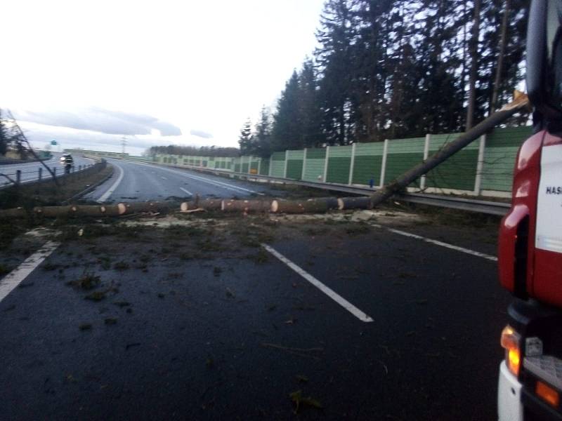 Strom omezil provoz na 83. kilometru dálnice D3 na Táborsku v úterý 11. února ráno.