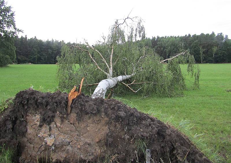 Ze středy 29. na čtvrtek 30. července ničivý živel udeřil i na Soběslavsku, mezi obcemi Komárov a Svinky poničil topolovou alej u komunikace i blízký les.