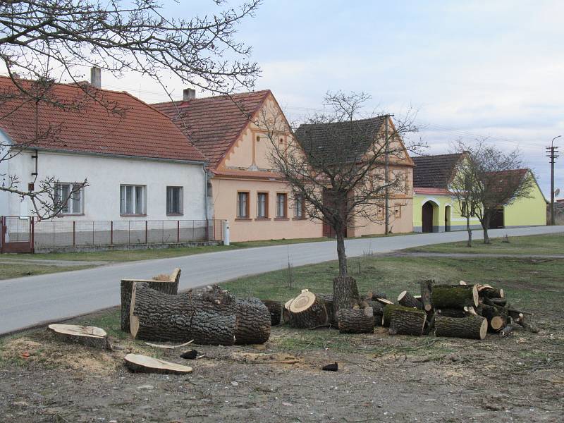 Při zásahu v obci Klečaty, která je vyhlášena vesnickou památkovou rezervací díky typické architektuře Selského baroka, šly k zemi dle starostky Jiřiny Sedláčkové jen dva neprospívající jasany.