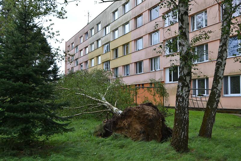 Ve Veselí nad Lužnicí noční vichřice vyvracela stromy a odnesla i půlku střechy supermarketu Tesco.